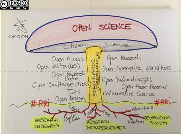 Fig. 3 - Eva Mèndez’s Open science mushroom (Mèndez E., Twitter, 2017)